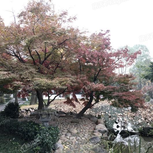 融创国宾雅集实景图