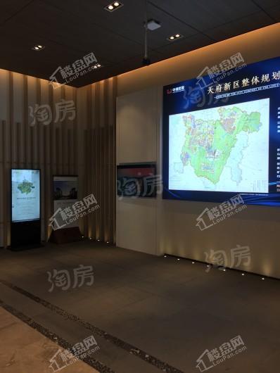 中洲天府珑悦项目实景图