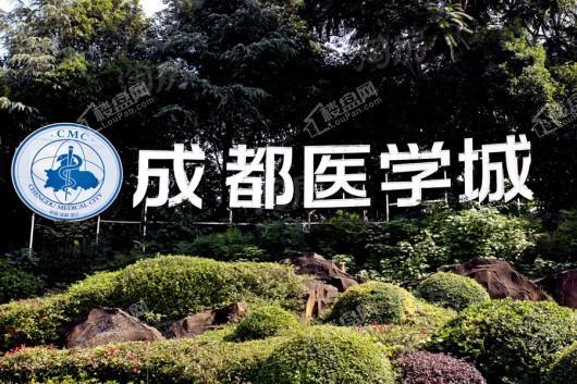 置信逸都城小户配套图