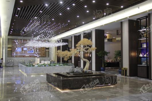 置信 丽都·府实景图