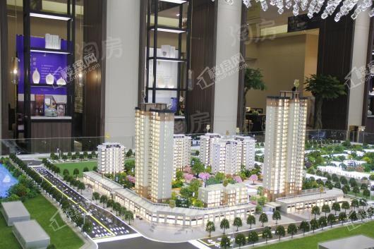 置信 丽都·府实景图