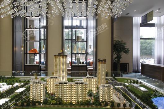 置信 丽都·府实景图