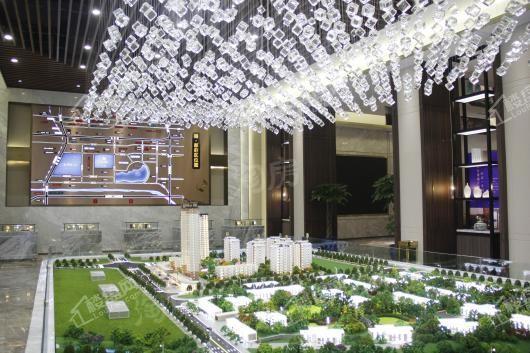 置信 丽都·府实景图