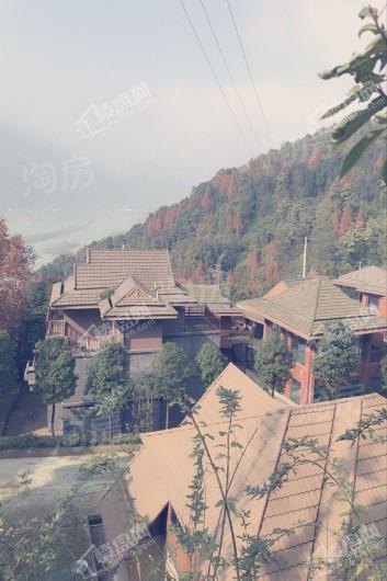 紫宽路88号实景图