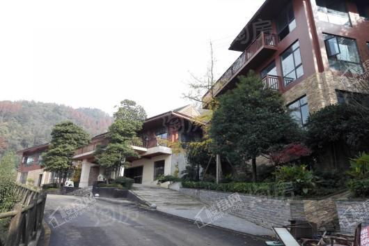 紫宽路88号实景图