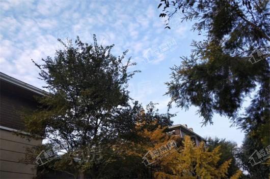 中铁水映青城2期实景图