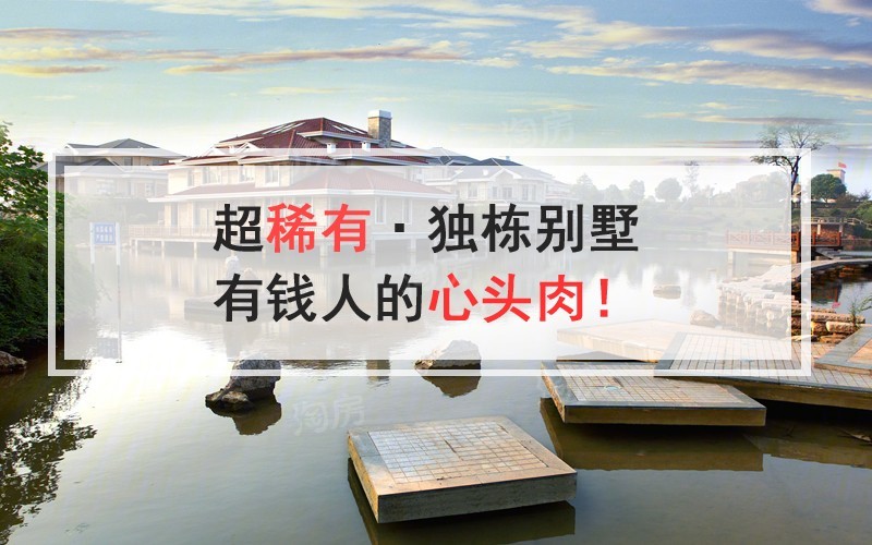 效果图