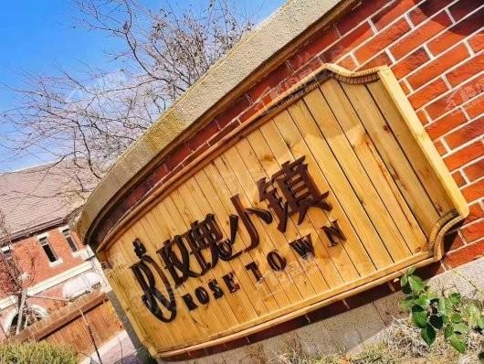 玫瑰小镇实景图