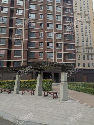 剑桥春雨实景图
