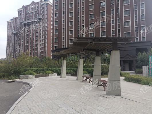 剑桥春雨实景图