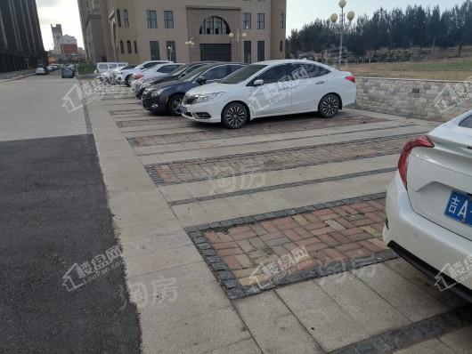 剑桥春雨实景图