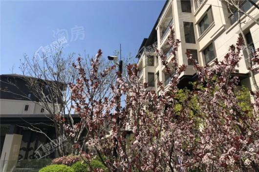 华润置地八號院实景图