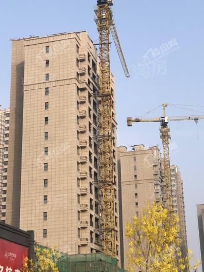 金沙巴黎花园实景图