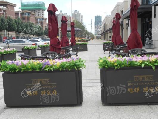 旭辉璟宸府实景图