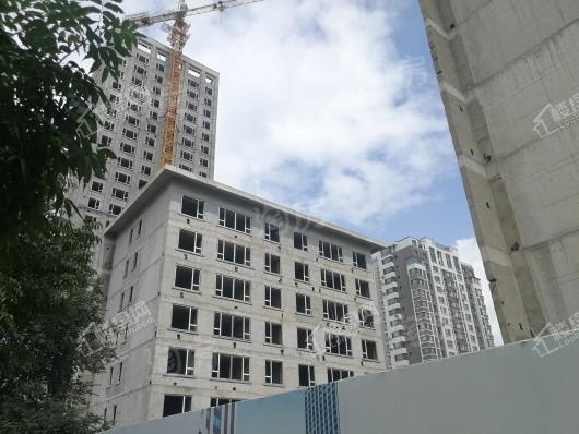 和泓长白府实景图