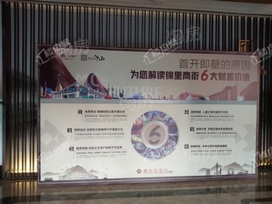 远洋仰山实景图