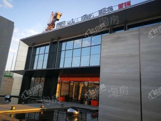 中南玖熙墅实景图