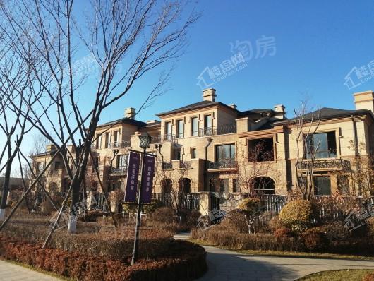 新湖美丽洲实景图
