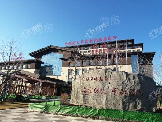 新湖美丽洲配套图