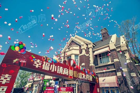 孔雀城新京学府配套图