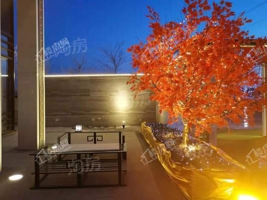 中粮花熙祥云效果图