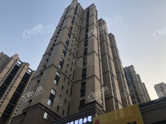 中海和平之门棠颂实景图