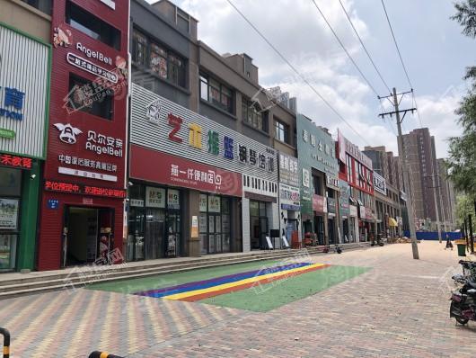 中海和平之门棠颂配套图