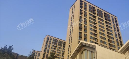 中南旭辉和樾实景图
