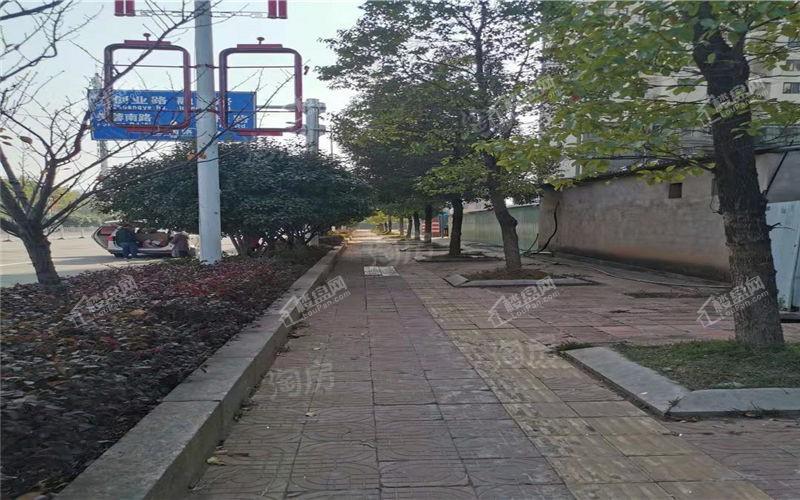 佛奥康桥水岸实景图