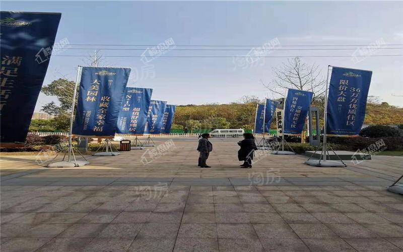佛奥康桥水岸实景图