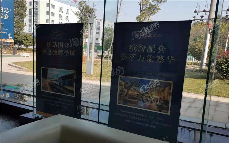 佛奥康桥水岸实景图