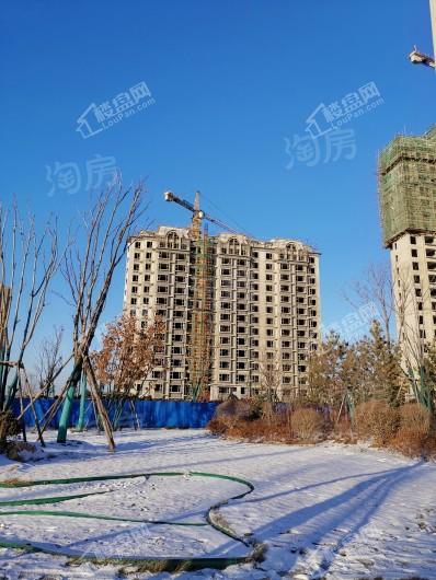 阳光美湖天地实景图