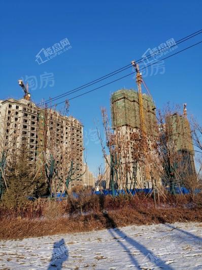 阳光美湖天地实景图