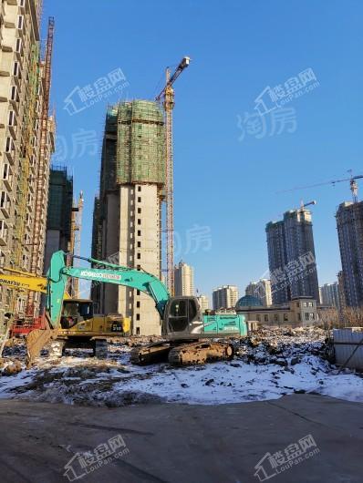 阳光美湖天地实景图