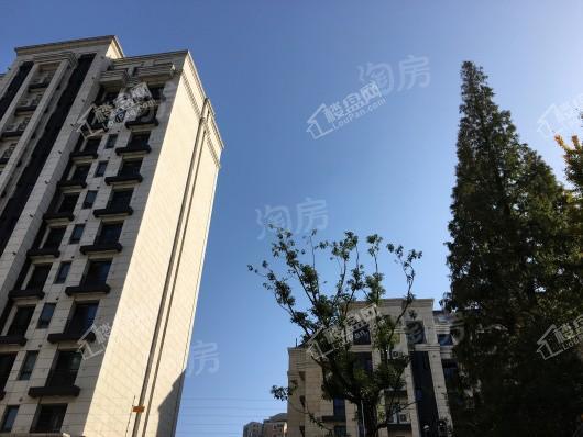 虹康昭晖苑实景图