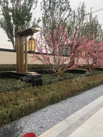 中实·玺樾府实景图