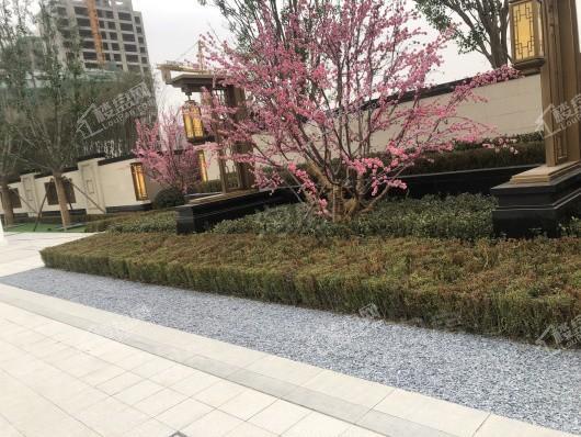 中实·玺樾府实景图