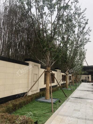 中实·玺樾府实景图