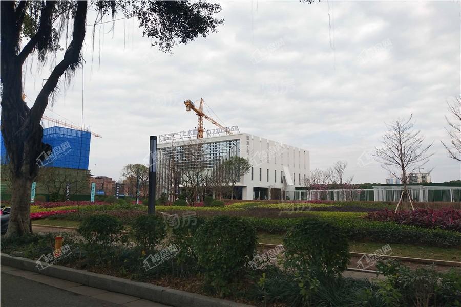 凯旋1号上水湾实景图