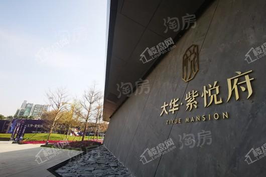 大华·紫悦府实景图