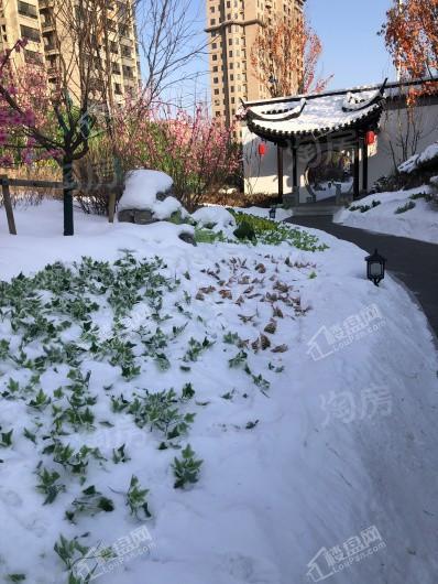 吴中姑苏院实景图