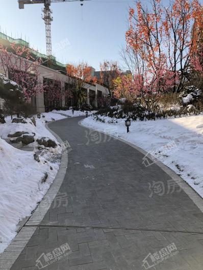 吴中姑苏院实景图