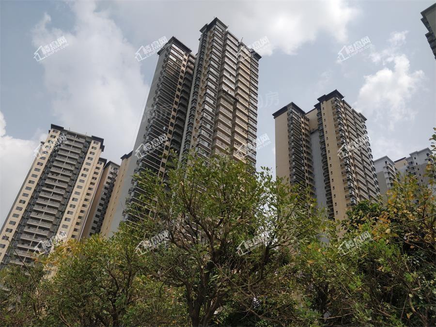 绿地新里璞悦公馆实景图