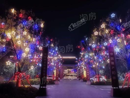 龙湖天宸原著实景图