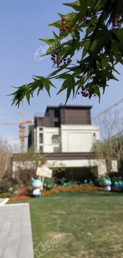 龙湖天宸原著实景图
