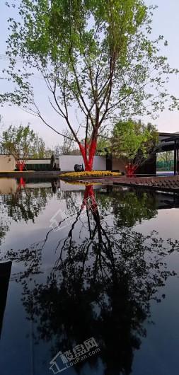 龙湖天宸原著实景图