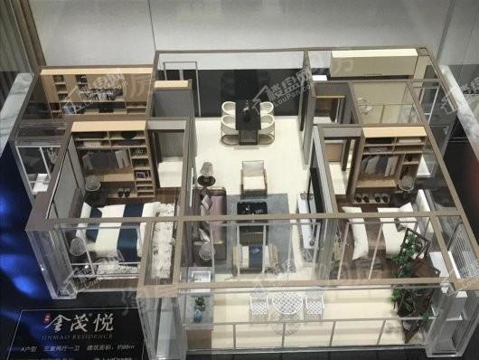 奥体金茂悦实景图