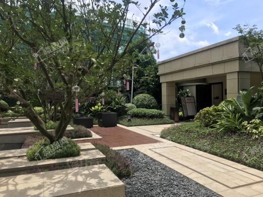 奥体金茂悦实景图