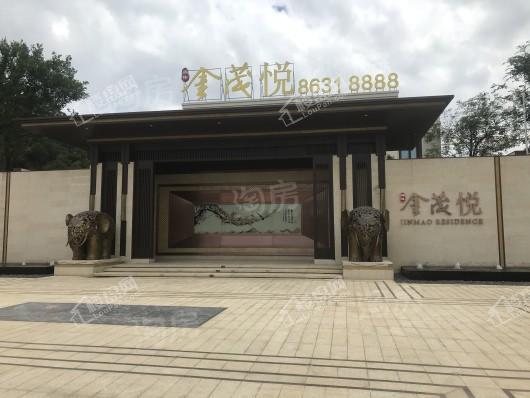 奥体金茂悦实景图