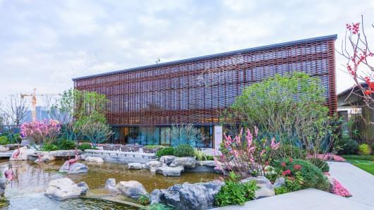 平潭·雍锦湾实景图